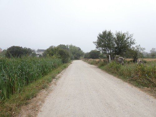 P1044539.JPG