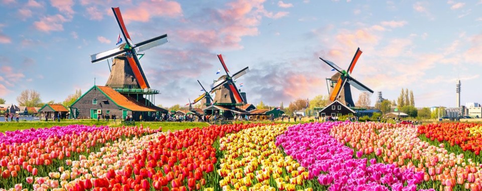 spring-netherlands-1140x453.jpg