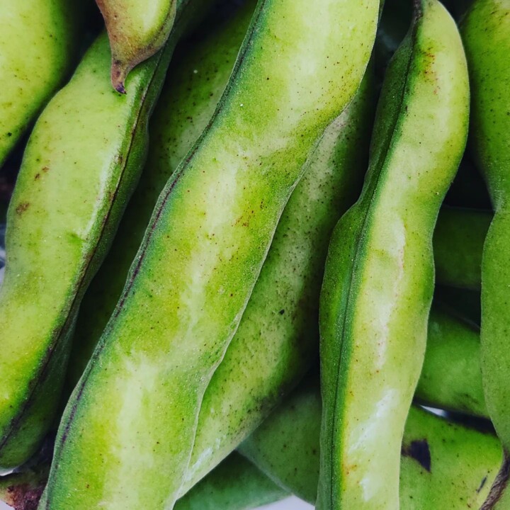 279572688_2300964180043330_8997319297165091009_n.j