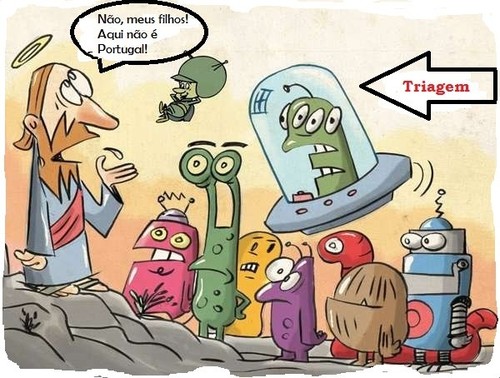 aliens - papagaio-descoberta.jpg