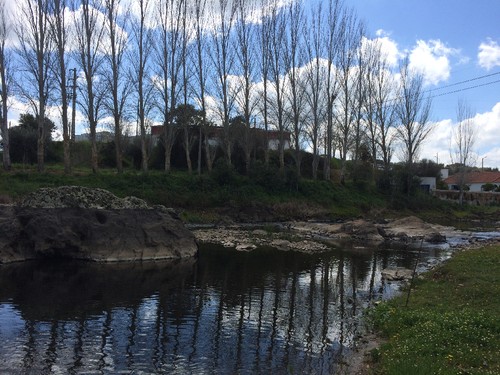 IMG_1912.JPG IMG_1912.JPG