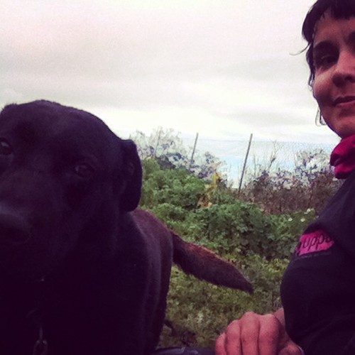 2016-03-19 16.44.26-1.jpg