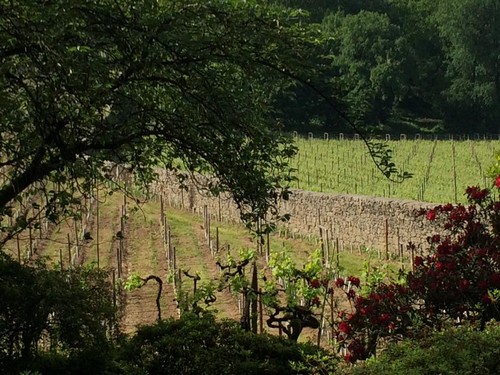 11141169_10202690888113512_3737744432099485986_n.j 11141169_10202690888113512_3737744432099485986_n.j