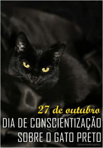 27-de-outubro-dia-de-conscientilacao-sobre-d-gato-