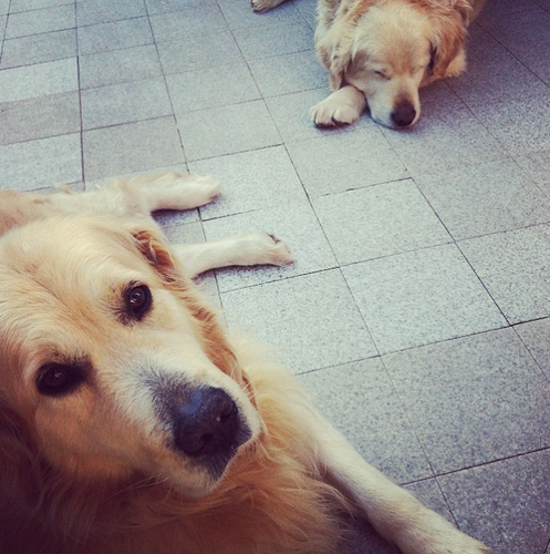 Captura de ecrã 2015-08-8, às 18.51.47.png