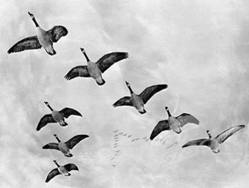 Screenshot_2025-02-01-14-40-54-852-edit_com.androi