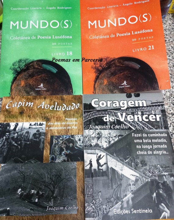 ....Coelho livros7.jpg