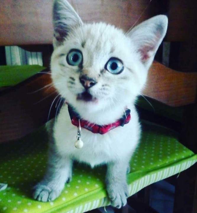 20191202_164927.jpg 20191202_164927.jpg