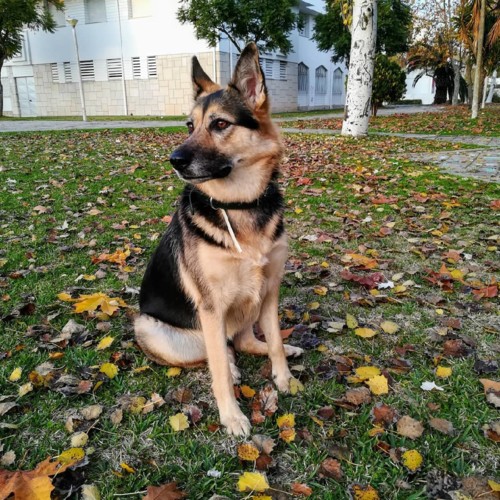 45308666_205338190351206_1452612989490438378_n.jpg 45308666_205338190351206_1452612989490438378_n.jpg