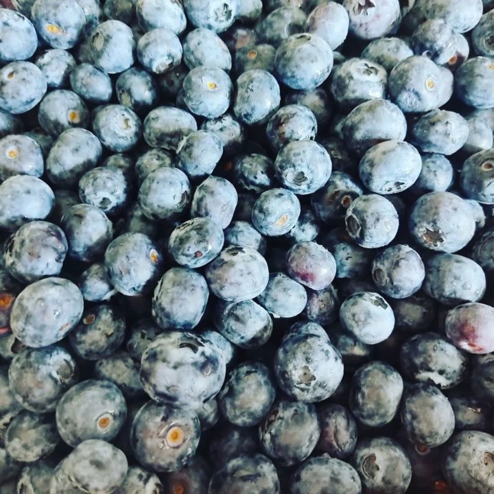 278774911_2290245141115234_6508397775303428807_n.j