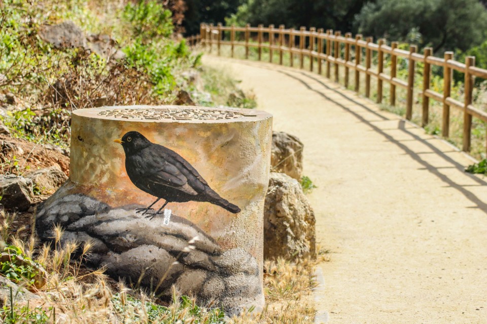 trilho das vinhas-59.jpg trilho das vinhas-59.jpg