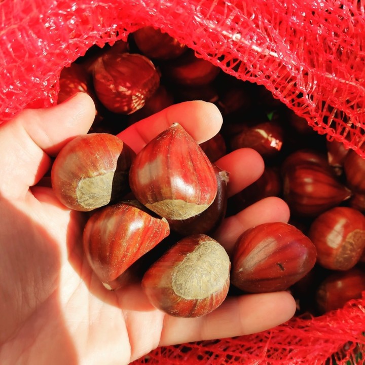 125985970_1877124212427331_5563490793330081193_o.j