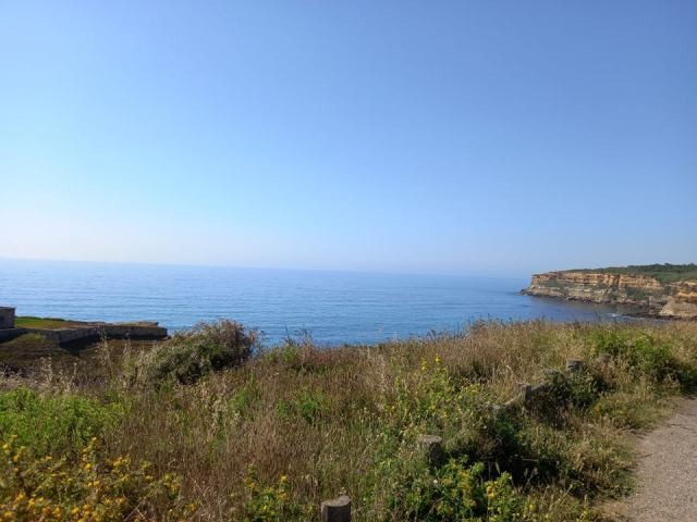 212618084_493915101706749_1754795179471140949_n.jp