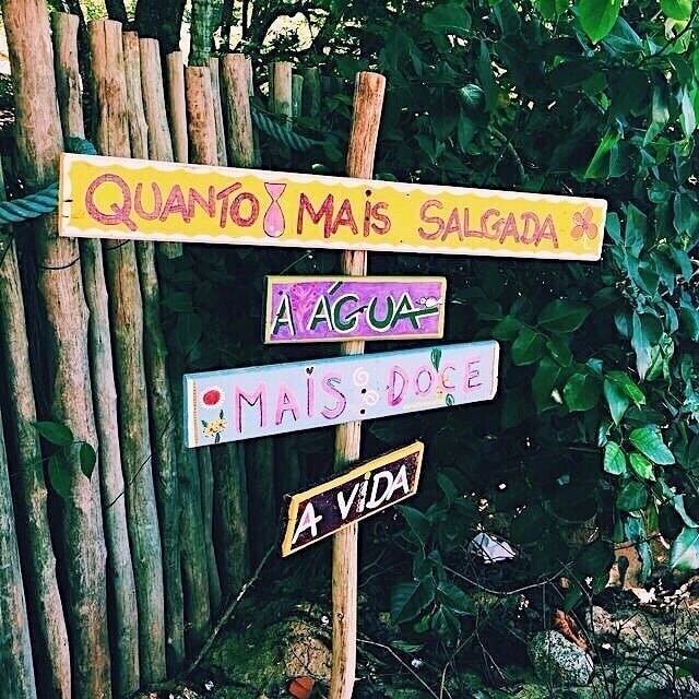 49192878_1934680779961118_2473760480842219520_n.jp