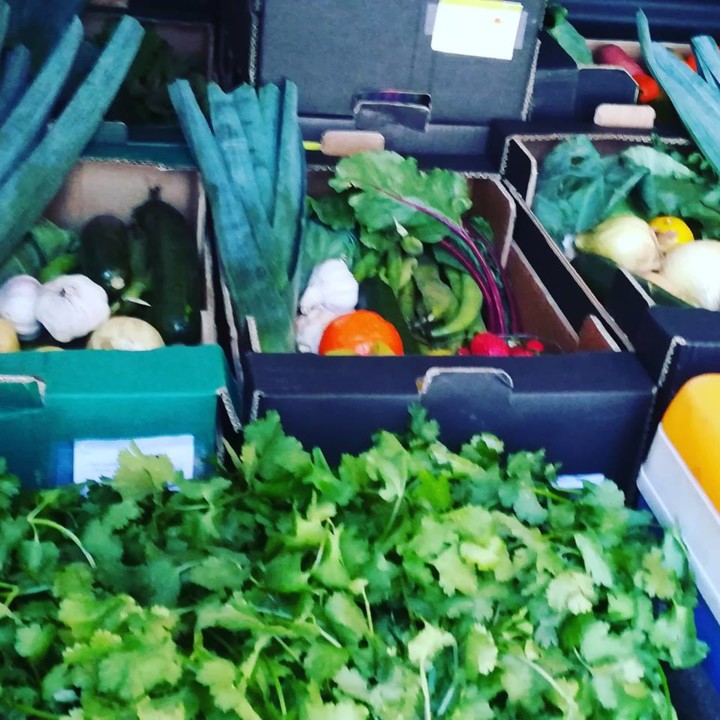 55817131_1337550386384719_8360277291908988928_n.jp