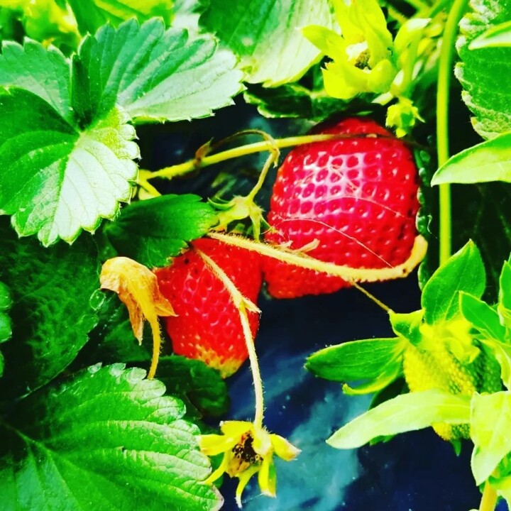 437960368_817318893758856_8274643653446037886_n.jp