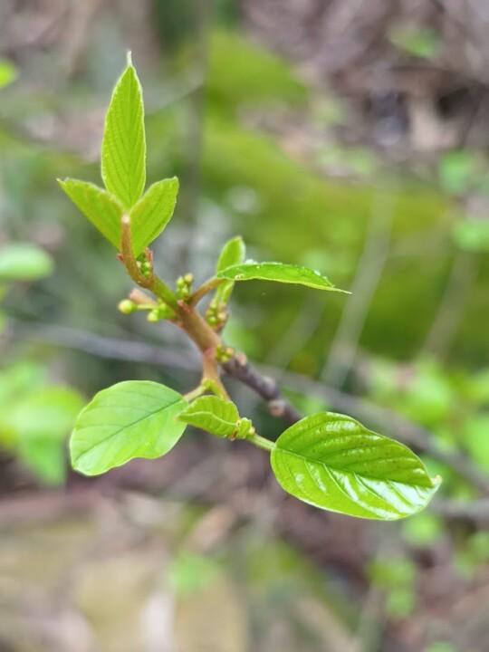 Não me canso disto_Inverno3.jpg