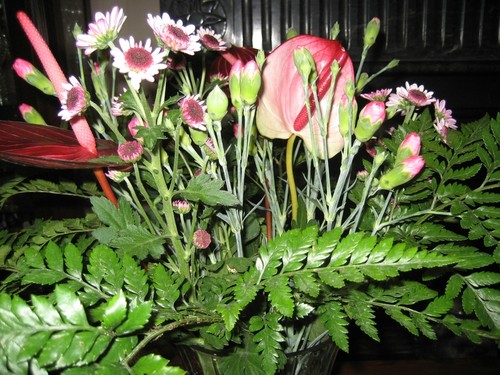 Flores