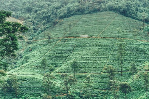 22228216_10214603964002873_3162684886304908451_n.j