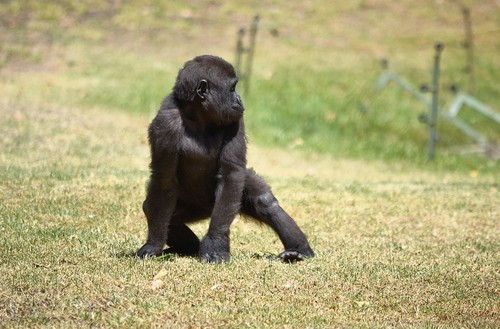 IMG_9539.PNG IMG_9539.PNG