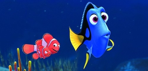 Dory Dory