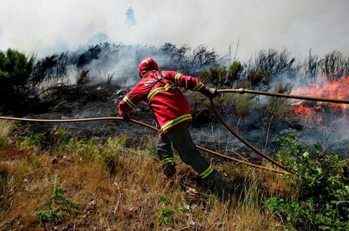 376604.jpg 376604.jpg