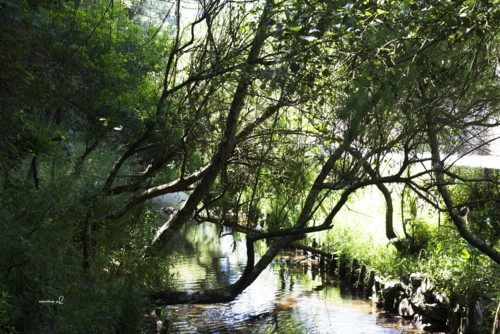 0_passadiço_arcozelo2 0_passadiço_arcozelo2