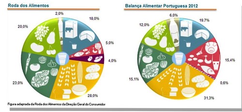 roda dos alimentos2.jpg