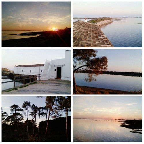 PhotoGrid_1454193390390.jpg PhotoGrid_1454193390390.jpg