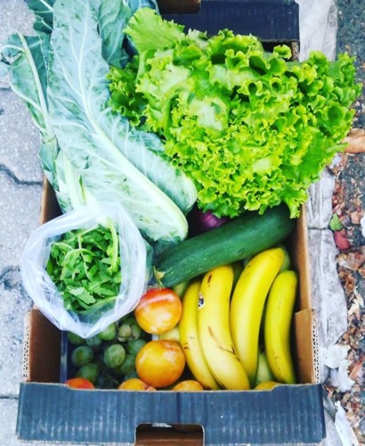 42560007_1214006115405814_1820223516755099648_n.jp 42560007_1214006115405814_1820223516755099648_n.jp