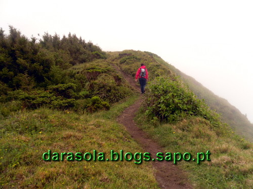 Azores_Faial_caldeirao_26.JPG