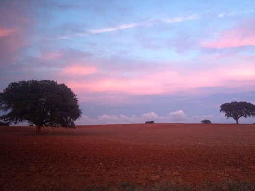 11201832_10204070770283374_5334229577636825779_n[1