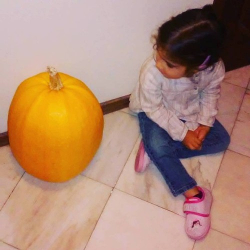 12079280_10200889176468007_2790828956101600468_n.j