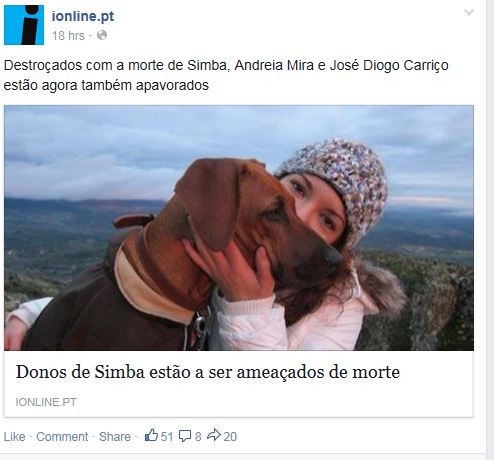 Simba_1.JPG