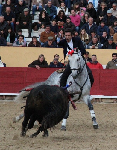 3 - marcos bastinhas.jpg