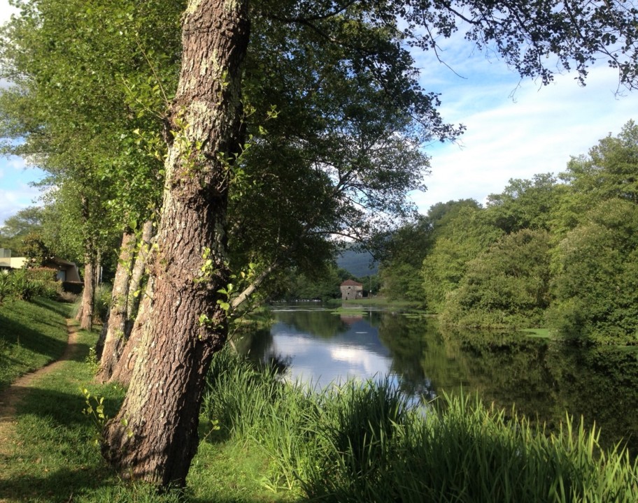 rio homem sabariz vila verde.JPG rio homem sabariz vila verde.JPG