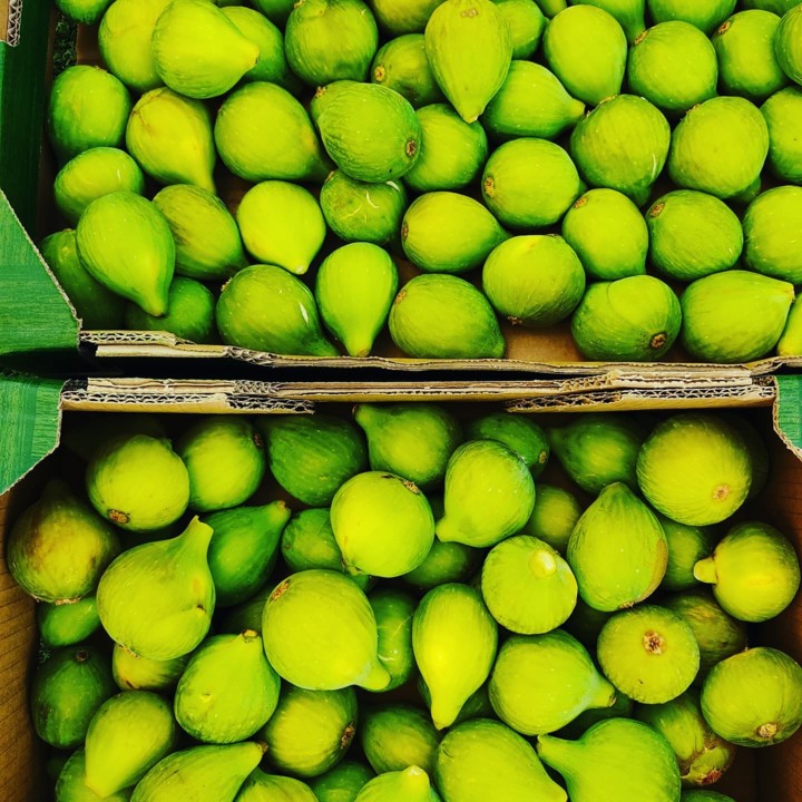 230885301_2092594190880331_2470830799938957113_n.j