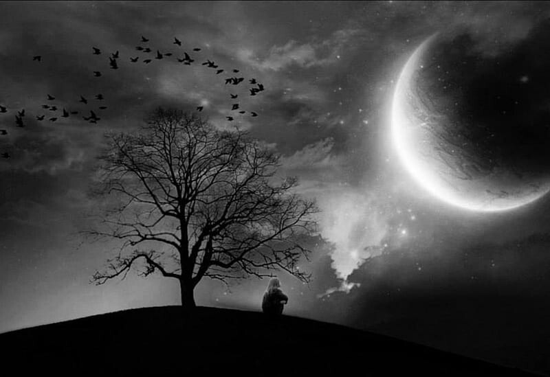 HD-wallpaper-moon-black-and-white-nature-dream-nig