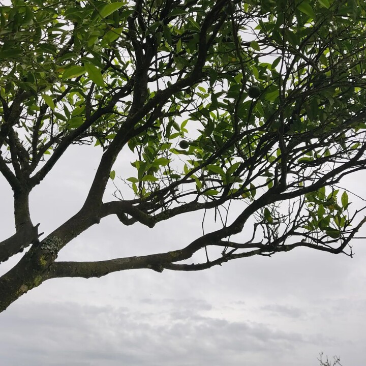 316291233_2477823749024038_9052307997652531884_n.j