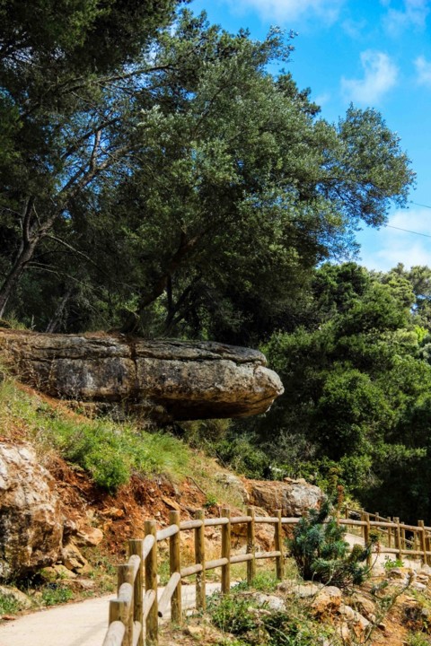 trilho-1-5 (683x1024).jpg