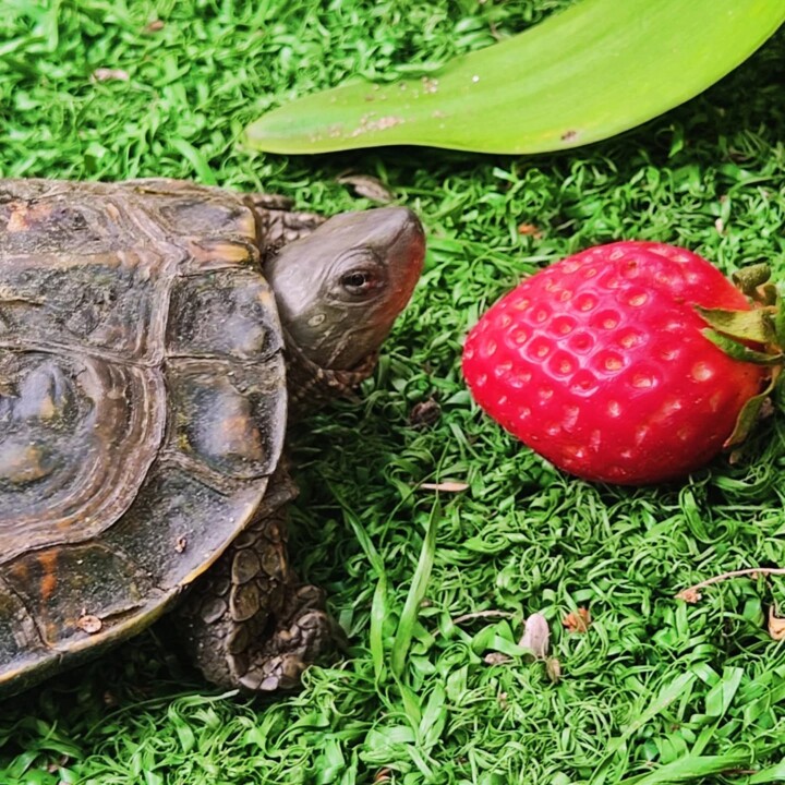 487434610_18469392103066958_2137152014476636004_n.