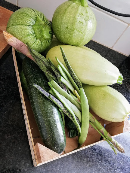 IMG_20200621_110800.jpg IMG_20200621_110800.jpg