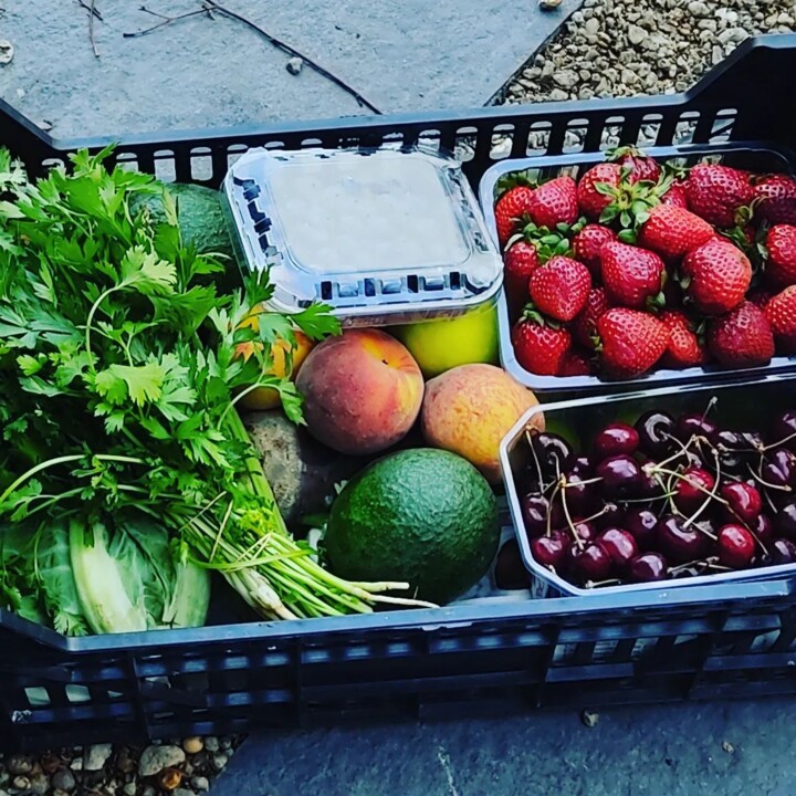 285715717_2328202920652789_1505848598898858207_n.j