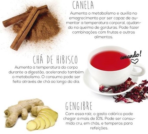 termogénicos 1.jpg termogénicos 1.jpg