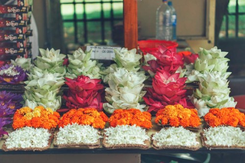 22140879_10214587713196613_5181932927577631268_n.j