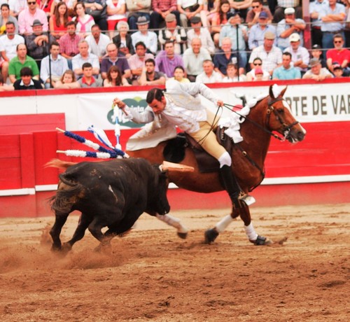 Vitor Ribeiro, na sua primeira lide de ontem...
