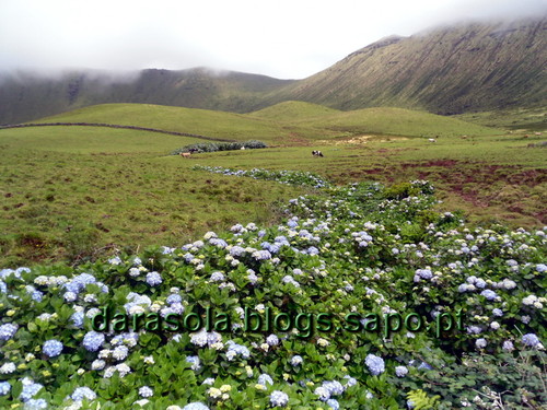 azores_corvo_caldeirao_17.JPG azores_corvo_caldeirao_17.JPG