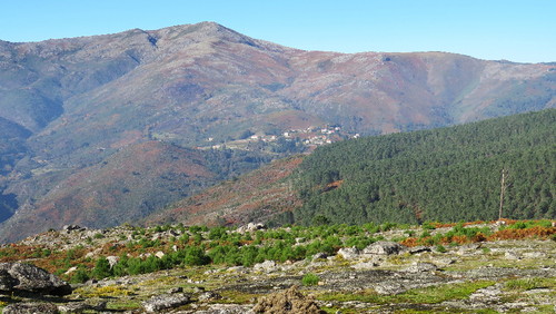 2016-11-17 14-12-20_0457.jpg