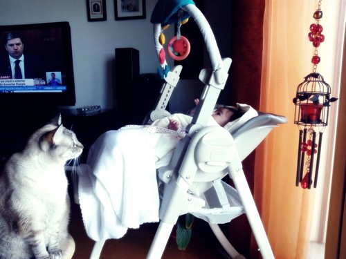 IMG-20150321-WA0016.jpg IMG-20150321-WA0016.jpg