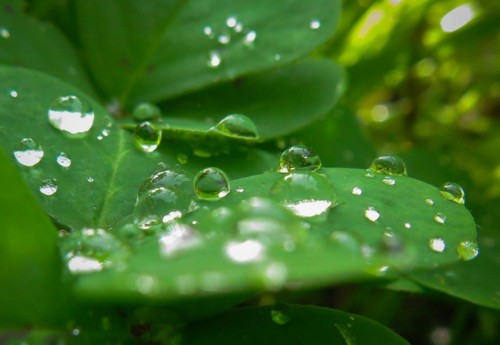 12768204_10153883092172808_2225633644090938315_o.j